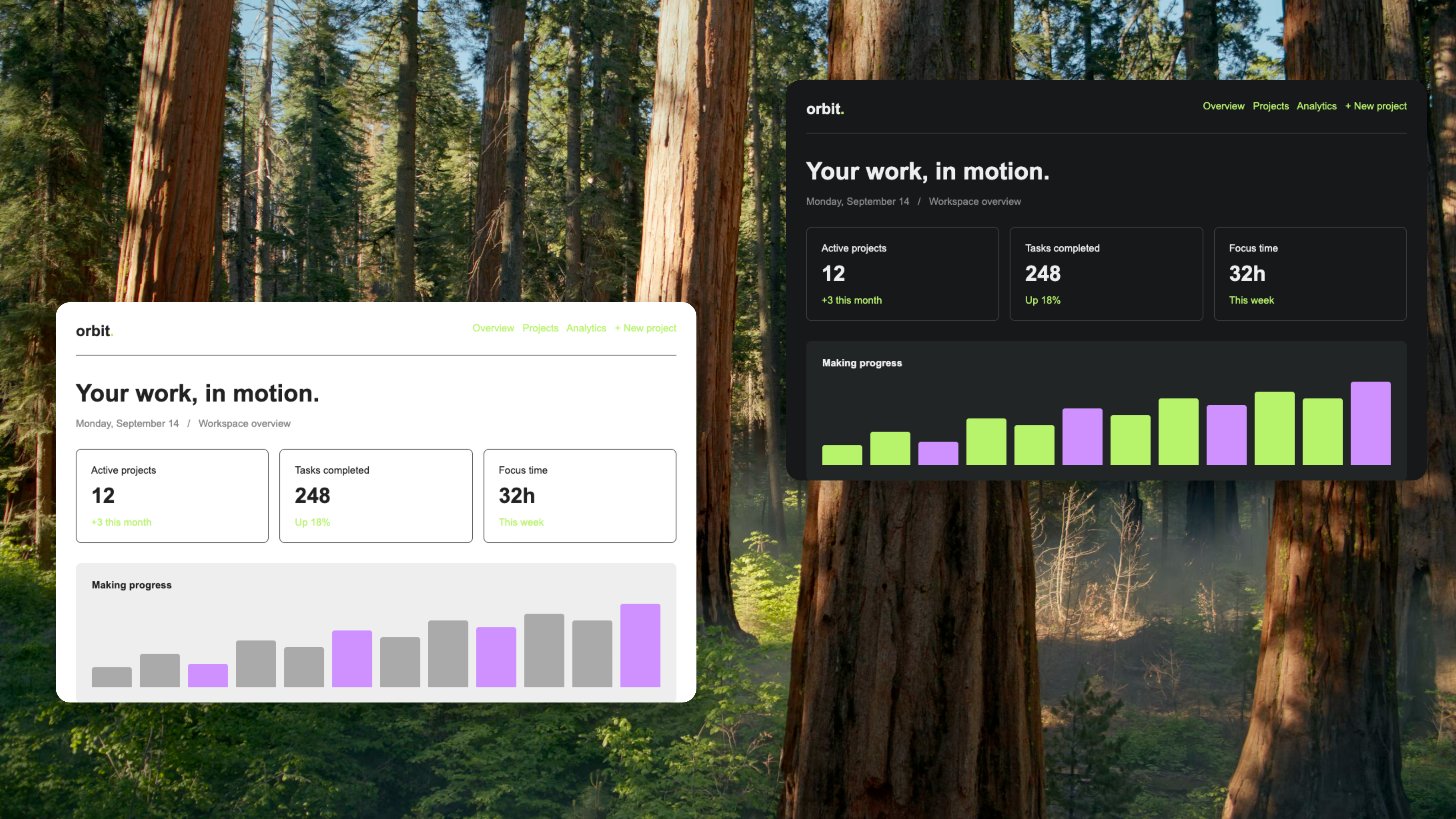 Light and dark dashboards on a forest background